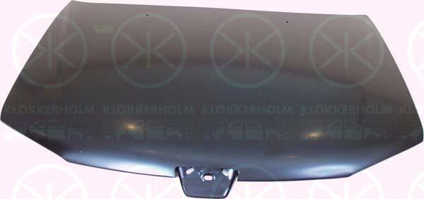 Klokkerholm 5513282A1 - Капот двигуна autozip.com.ua