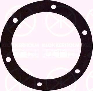 Klokkerholm 50990097 - Прокладка, датчик рівня палива autozip.com.ua