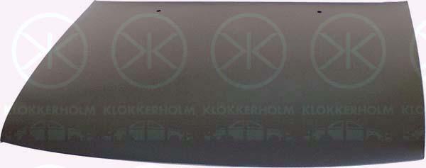 Klokkerholm 5050280 - Капот двигуна autozip.com.ua