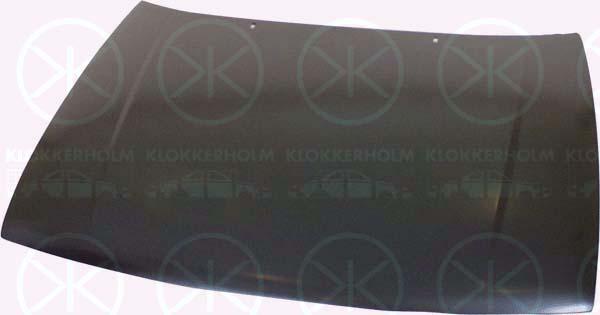 Klokkerholm 6607280 - Капот двигуна autozip.com.ua