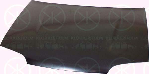 Klokkerholm 6811280 - Капот двигуна autozip.com.ua