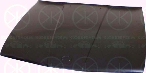 Klokkerholm 0054280 - Капот двигуна autozip.com.ua