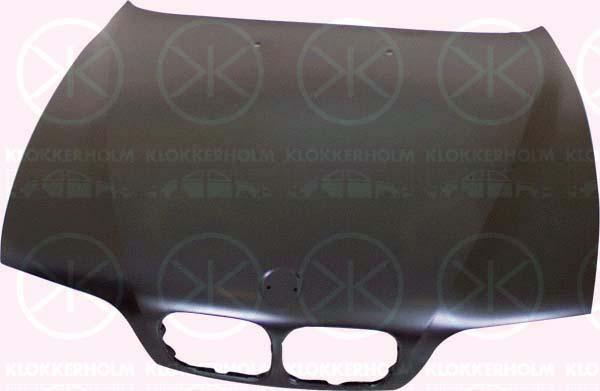 Klokkerholm 0065280 - Капот двигуна autozip.com.ua