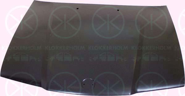 Klokkerholm 0060280 - Капот двигуна autozip.com.ua