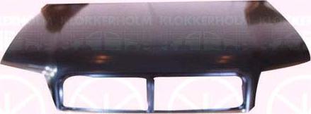 Klokkerholm 0019281 - Капот двигуна autozip.com.ua