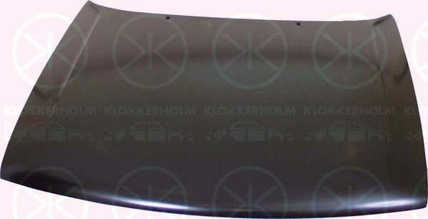 Klokkerholm 0016280 - Капот двигуна autozip.com.ua