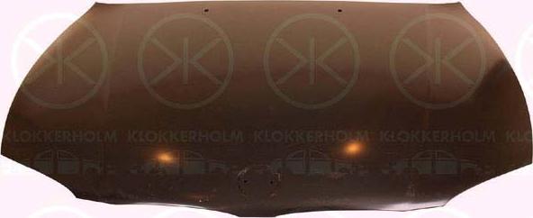 Klokkerholm 0085280 - Капот двигуна autozip.com.ua