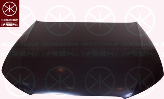 Klokkerholm 0029281 - Капот двигуна autozip.com.ua
