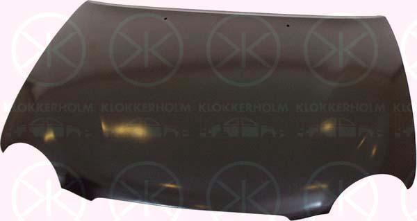 Klokkerholm 8114280 - Капот двигуна autozip.com.ua