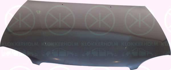 Klokkerholm 8114281 - Капот двигуна autozip.com.ua