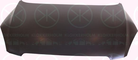 Klokkerholm 3267280 - Капот двигуна autozip.com.ua