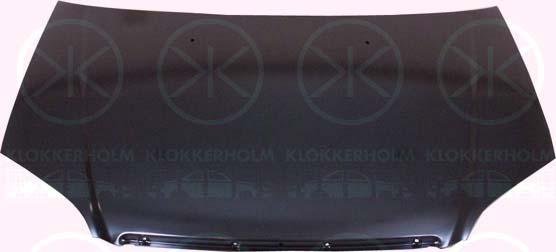 Klokkerholm 2938280 - Капот двигуна autozip.com.ua