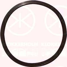 Klokkerholm 25990096 - Прокладка, датчик рівня палива autozip.com.ua