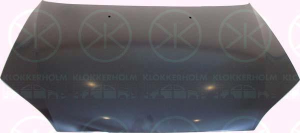 Klokkerholm 2555280 - Капот двигуна autozip.com.ua
