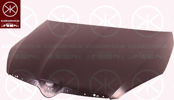 Klokkerholm 7515281 - Капот двигуна autozip.com.ua