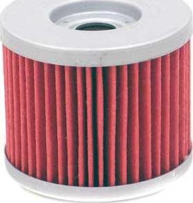 K&N Filters KN-151 - Масляний фільтр autozip.com.ua