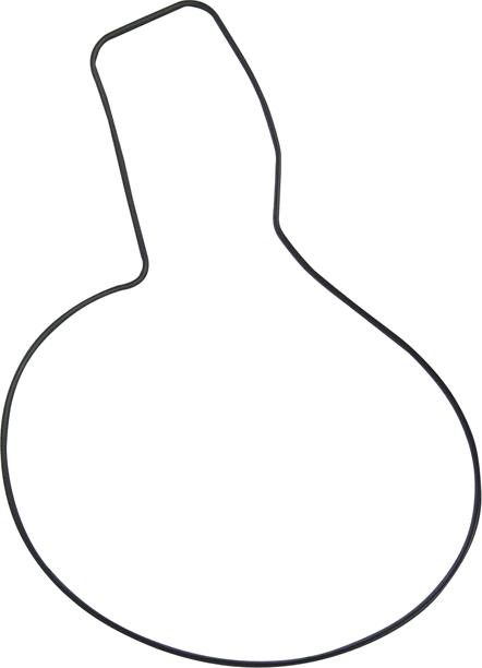 LEMA 2480506 - Прокладка, водяний насос autozip.com.ua