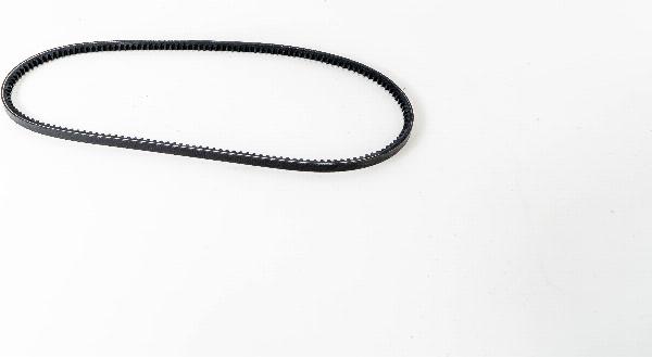 LEMA AVX10975L - Клиновий ремінь autozip.com.ua