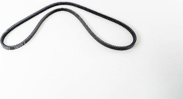 LEMA AVX131400L - Клиновий ремінь autozip.com.ua