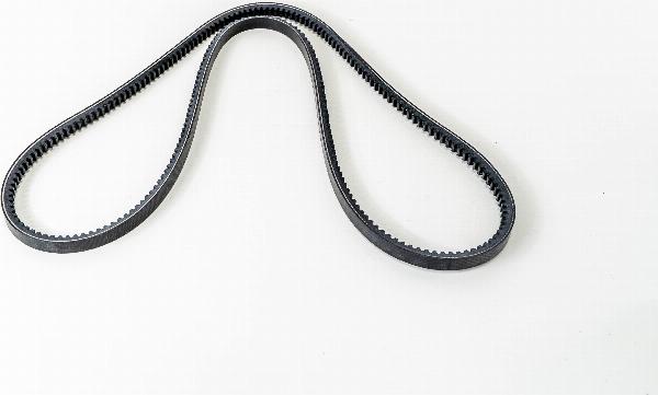 LEMA AVX131575L - Клиновий ремінь autozip.com.ua