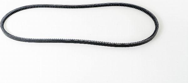 LEMA AVX131350L - Клиновий ремінь autozip.com.ua