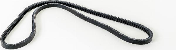 LEMA AVX131300L - Клиновий ремінь autozip.com.ua