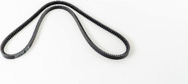 LEMA AVX131375L - Клиновий ремінь autozip.com.ua