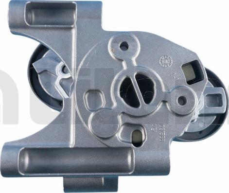 Litens 950591 - Натягувач ременя, клинові зуб. autozip.com.ua