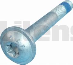 Litens 950199 - Болт autozip.com.ua