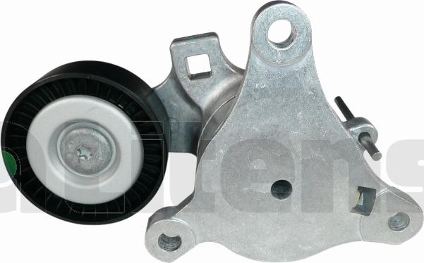 Litens 930648 - Натягувач ременя, поліклиновий ремінь autozip.com.ua
