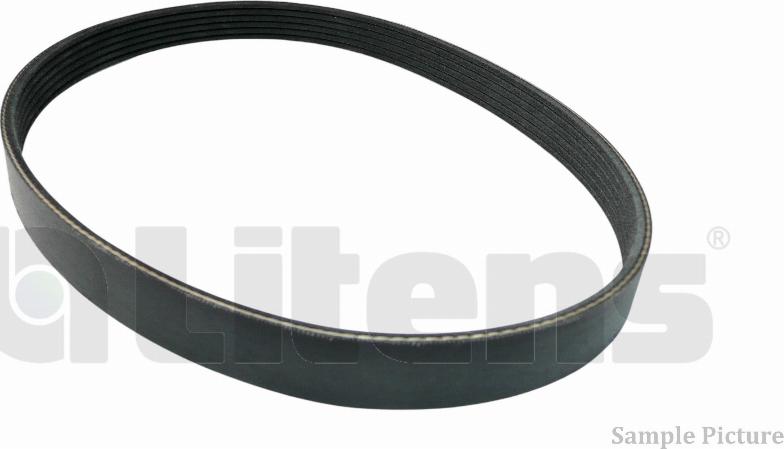 Litens LV6PK922S - Поліклиновий ремінь autozip.com.ua