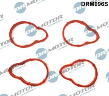 Lizarte DRM096S - Комплект прокладок, впускний колектор autozip.com.ua