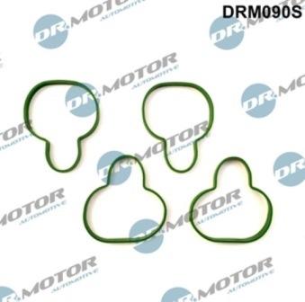 Lizarte DRM090S - Комплект прокладок, впускний колектор autozip.com.ua