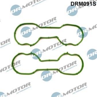 Lizarte DRM091S - Комплект прокладок, впускний колектор autozip.com.ua
