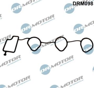 Lizarte DRM098 - Прокладка, впускний колектор autozip.com.ua