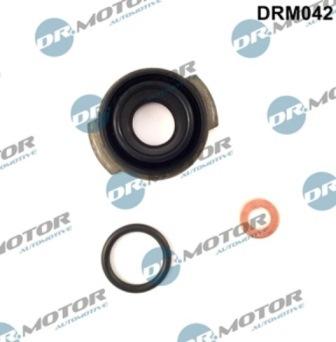 Lizarte DRM042 - Комплект прокладок, форсунка autozip.com.ua