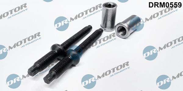 Lizarte DRM0559 - Болт, кріплення форсунки autozip.com.ua