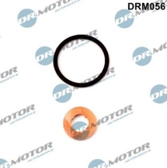 Lizarte DRM056 - Комплект прокладок, форсунка autozip.com.ua