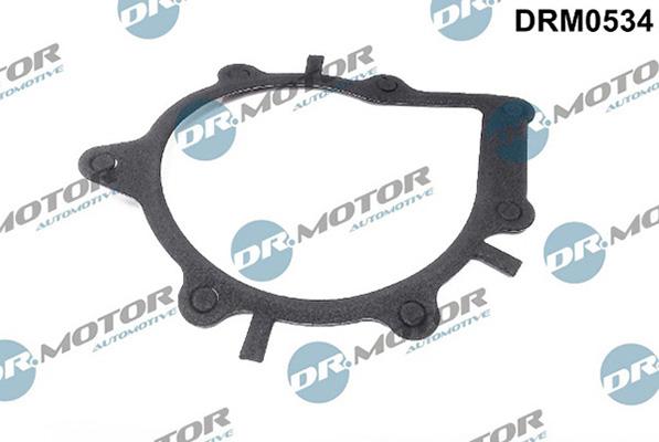 Lizarte DRM0534 - Прокладка, водяний насос autozip.com.ua