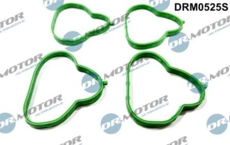Lizarte DRM0525S - Комплект прокладок, впускний колектор autozip.com.ua