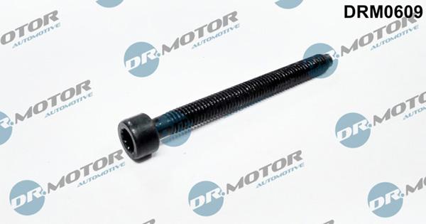 Lizarte DRM0609 - Болт, кріплення форсунки autozip.com.ua