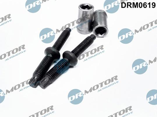 Lizarte DRM0619 - Болт, кріплення форсунки autozip.com.ua