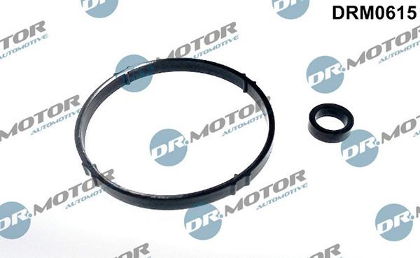 Lizarte DRM0615 - Комплект прокладок, масляний радіатор autozip.com.ua
