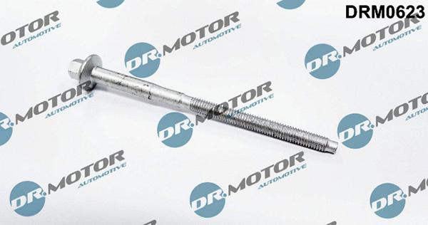 Lizarte DRM0623 - Болт, кріплення форсунки autozip.com.ua