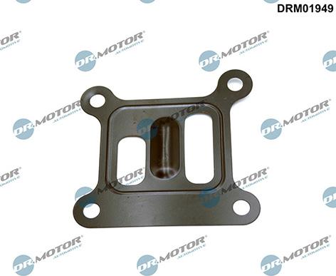 Lizarte DRM01949 - Прокладка, водяний насос autozip.com.ua