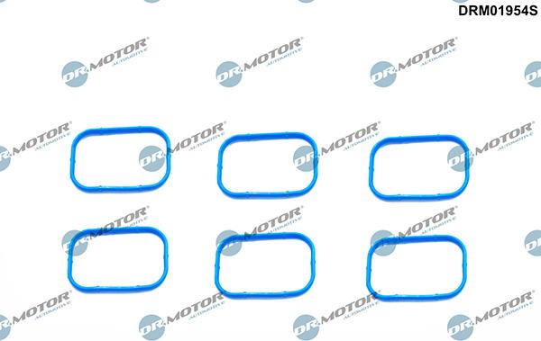 Lizarte DRM01954S - Комплект прокладок, впускний колектор autozip.com.ua