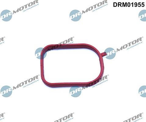 Lizarte DRM01955 - Прокладка, корпус термостата autozip.com.ua