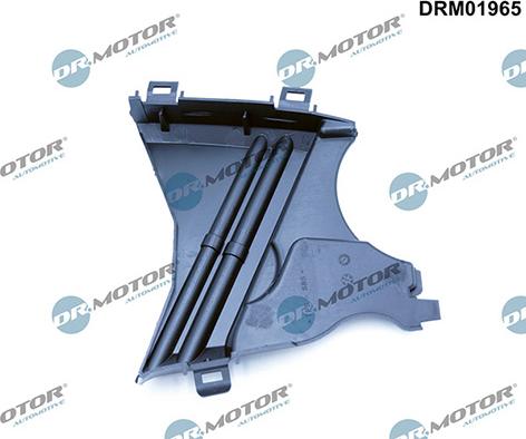 Lizarte DRM01965 - Кожух, зубчастий ремінь autozip.com.ua