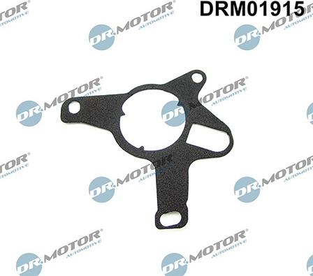 Lizarte DRM01915 - Прокладка, вакуумний насос autozip.com.ua