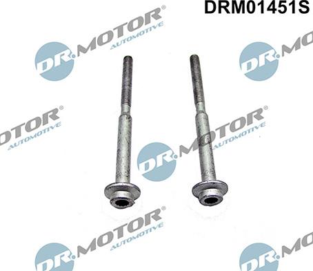 Lizarte DRM01451S - Болт, кріплення форсунки autozip.com.ua